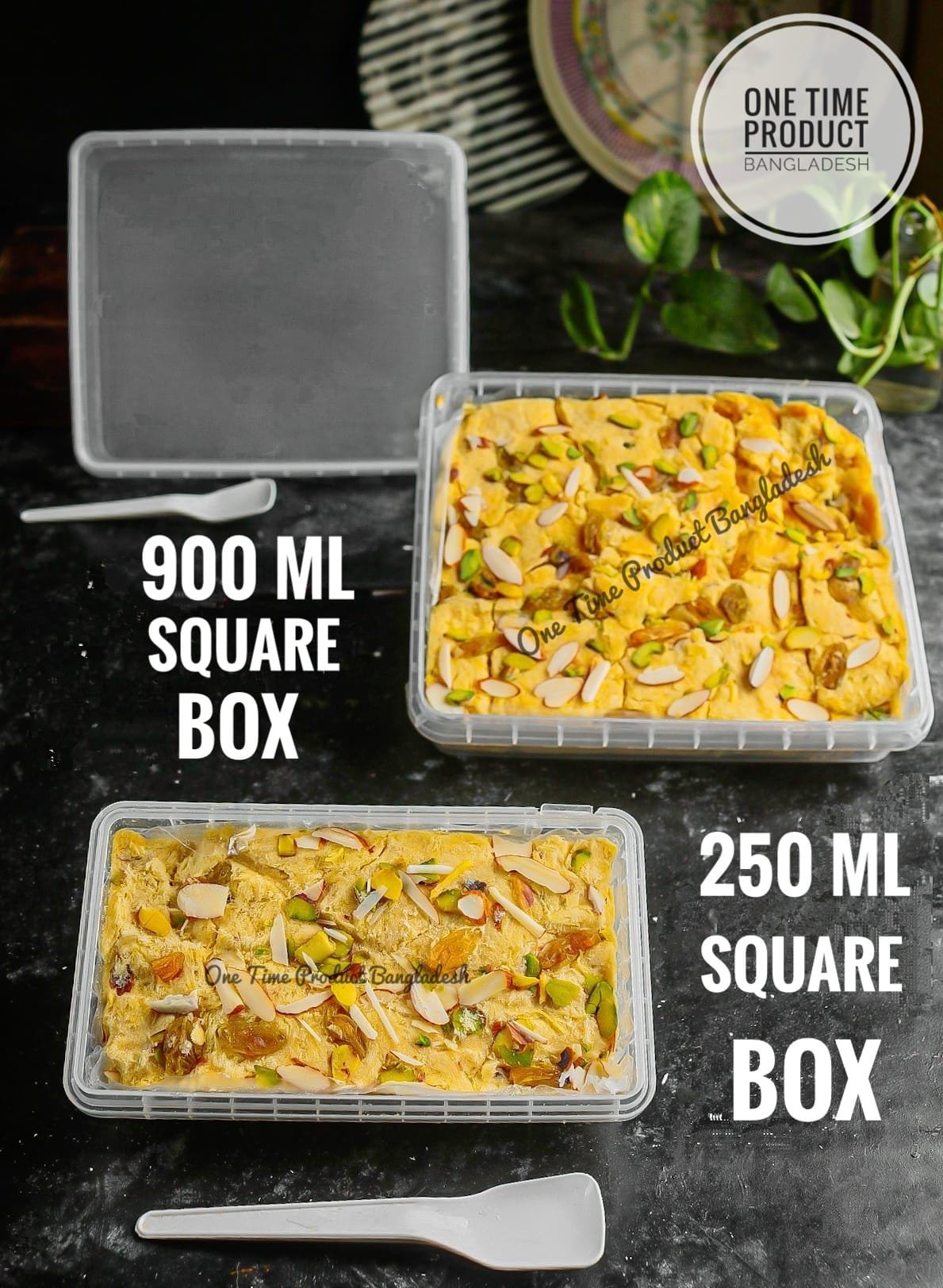 481078327 648430837842370 6260361351489678931 n